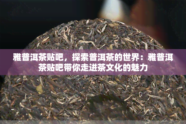 雅普洱茶贴吧，探索普洱茶的世界：雅普洱茶贴吧带你走进茶文化的魅力