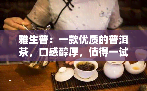 雅生普：一款优质的普洱茶，口感醇厚，值得一试！