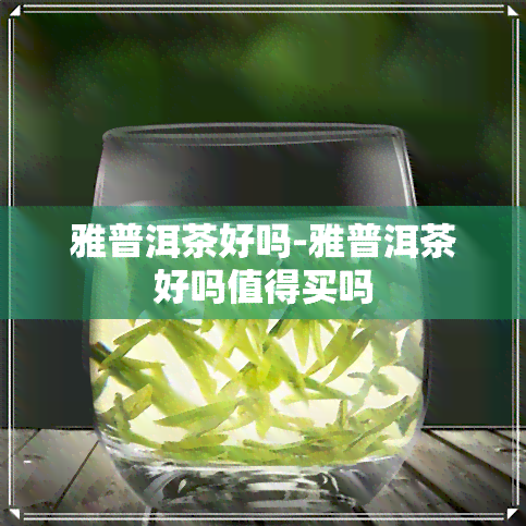 雅普洱茶好吗-雅普洱茶好吗值得买吗