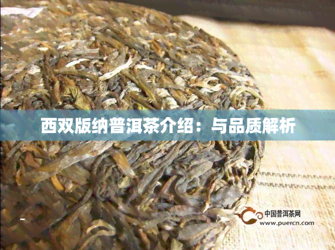 西双版纳普洱茶介绍：与品质解析