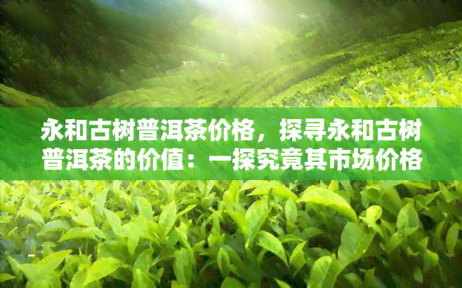 永和古树普洱茶价格，探寻永和古树普洱茶的价值：一探究竟其市场价格