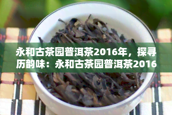 永和古茶园普洱茶2016年，探寻历韵味：永和古茶园普洱茶2016年品鉴之旅