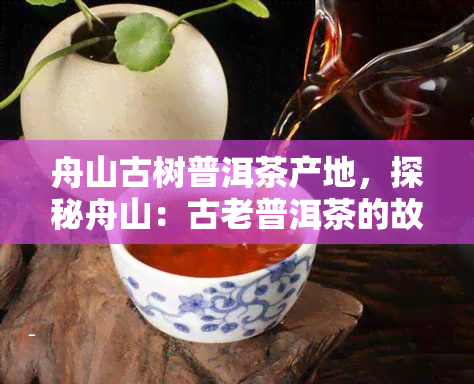 舟山古树普洱茶产地，探秘舟山：古老普洱茶的故乡