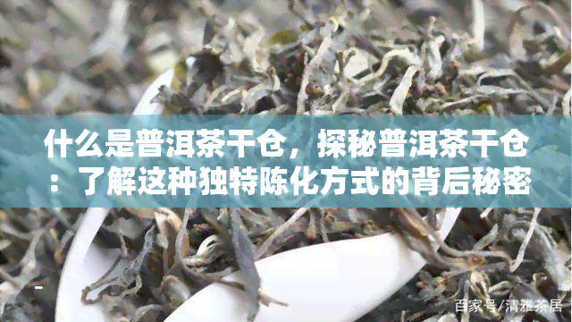 什么是普洱茶干仓，探秘普洱茶干仓：了解这种独特陈化方式的背后秘密