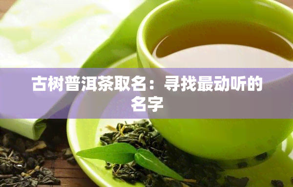 古树普洱茶取名：寻找最动听的名字