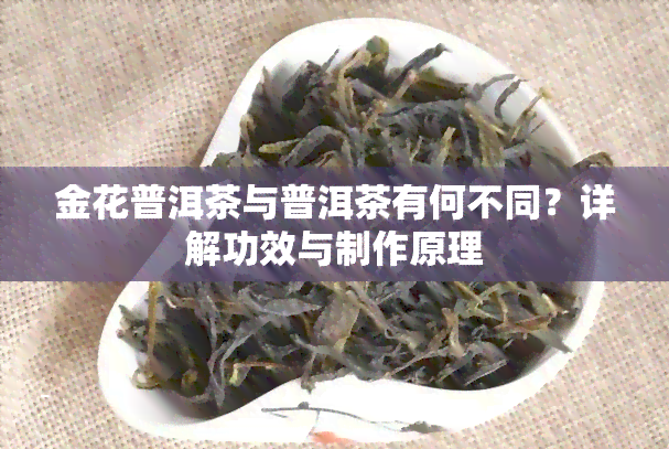 金花普洱茶与普洱茶有何不同？详解功效与制作原理