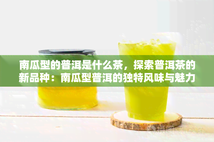 南瓜型的普洱是什么茶，探索普洱茶的新品种：南瓜型普洱的独特风味与魅力