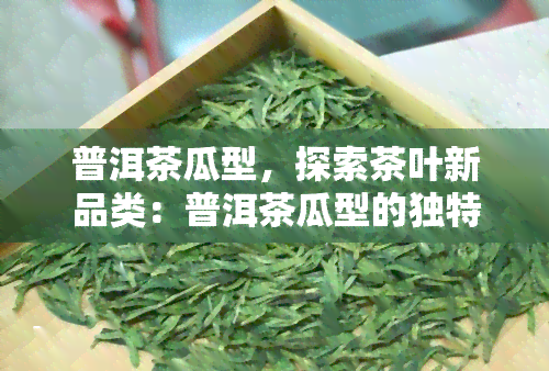 普洱茶瓜型，探索茶叶新品类：普洱茶瓜型的独特魅力