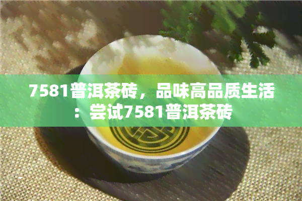 7581普洱茶砖，品味高品质生活：尝试7581普洱茶砖