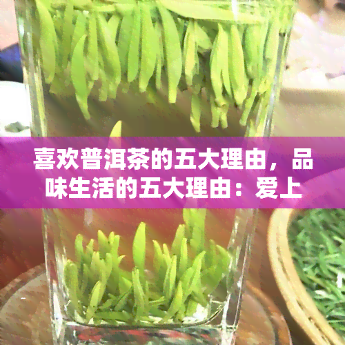 喜欢普洱茶的五大理由，品味生活的五大理由：爱上普洱茶