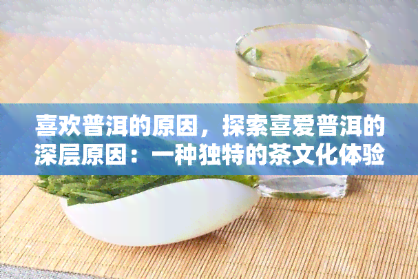 喜欢普洱的原因，探索喜爱普洱的深层原因：一种独特的茶文化体验