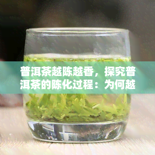 普洱茶越陈越香，探究普洱茶的陈化过程：为何越陈越香？