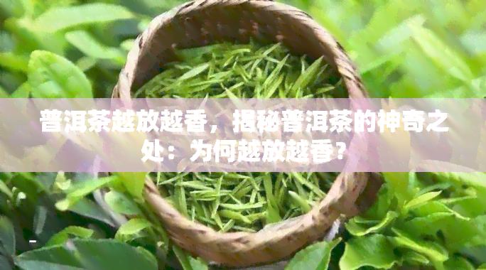 普洱茶越放越香，揭秘普洱茶的神奇之处：为何越放越香？