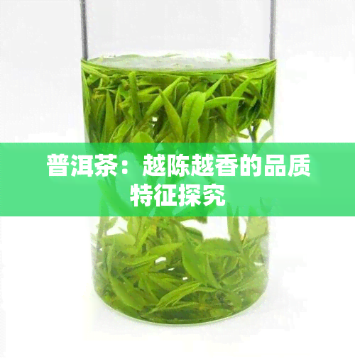 普洱茶：越陈越香的品质特征探究