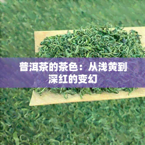 普洱茶的茶色：从浅黄到深红的变幻