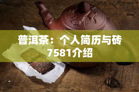 普洱茶：个人简历与砖7581介绍