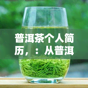 普洱茶个人简历，：从普洱茶产业的探索者到行业引领者的个人历程