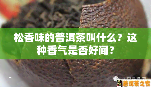 松香味的普洱茶叫什么？这种香气是否好闻？