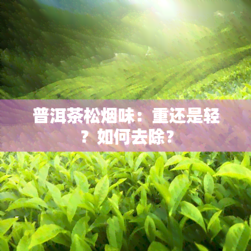 普洱茶松烟味：重还是轻？如何去除？