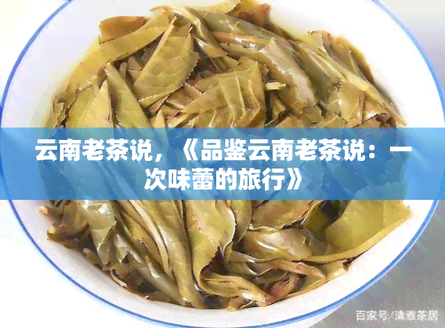 云南老茶说，《品鉴云南老茶说：一次味蕾的旅行》