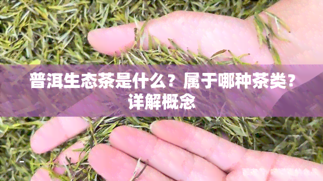 普洱生态茶是什么？属于哪种茶类？详解概念