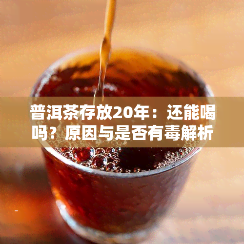 普洱茶存放20年：还能喝吗？原因与是否有解析