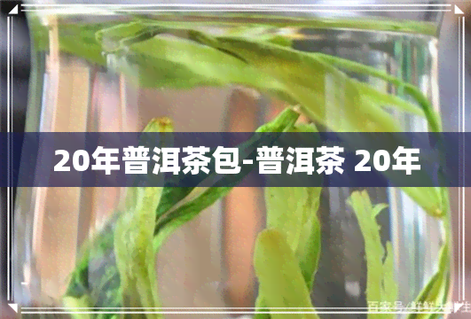 20年普洱茶包-普洱茶 20年