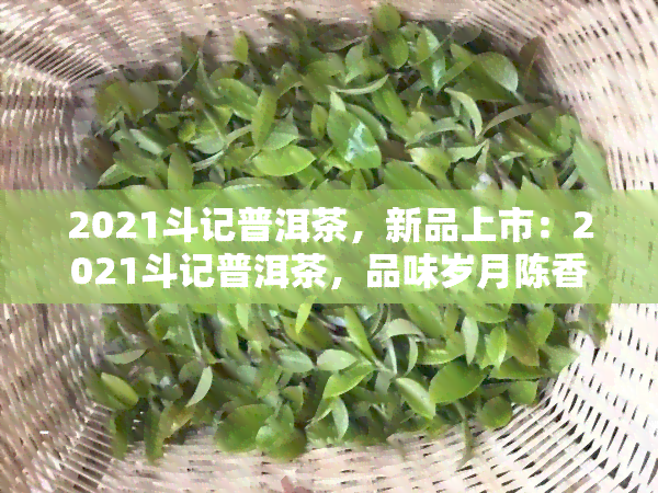 2021斗记普洱茶，新品上市：2021斗记普洱茶，品味岁月陈香的韵味