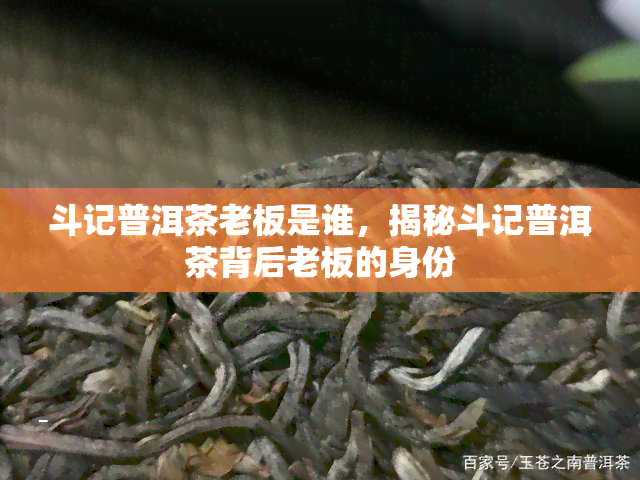 斗记普洱茶老板是谁，揭秘斗记普洱茶背后老板的身份