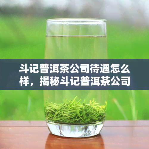 斗记普洱茶公司待遇怎么样，揭秘斗记普洱茶公司员工福利：待遇如何？