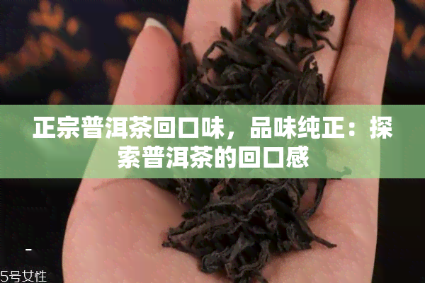 正宗普洱茶回口味，品味纯正：探索普洱茶的回口感