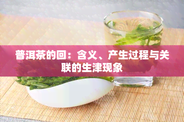 普洱茶的回：含义、产生过程与关联的生津现象