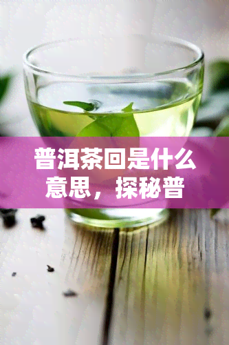 普洱茶回是什么意思，探秘普洱茶的“回”现象：你了解其中的秘密吗？