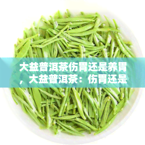 大益普洱茶伤胃还是养胃，大益普洱茶：伤胃还是养胃？一次深入了解