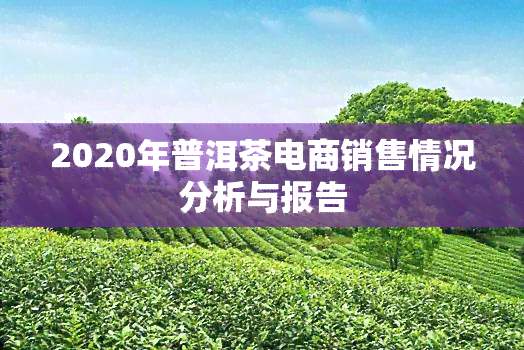 2020年普洱茶电商销售情况分析与报告