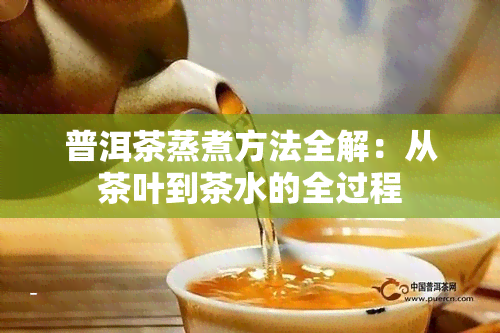 普洱茶蒸煮方法全解：从茶叶到茶水的全过程