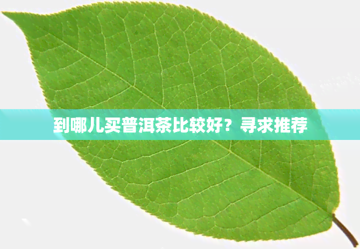 到哪儿买普洱茶比较好？寻求推荐