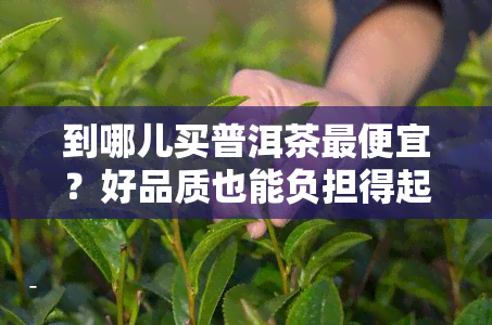 到哪儿买普洱茶更便宜？好品质也能负担得起！