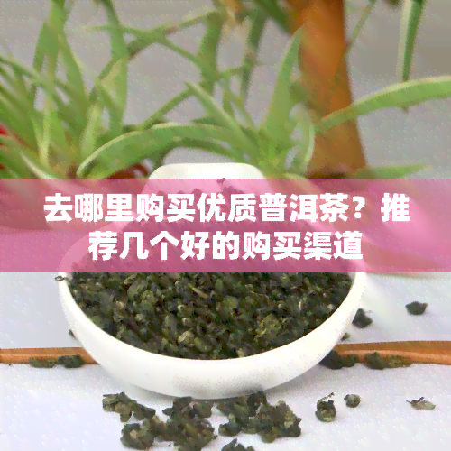 去哪里购买优质普洱茶？推荐几个好的购买渠道