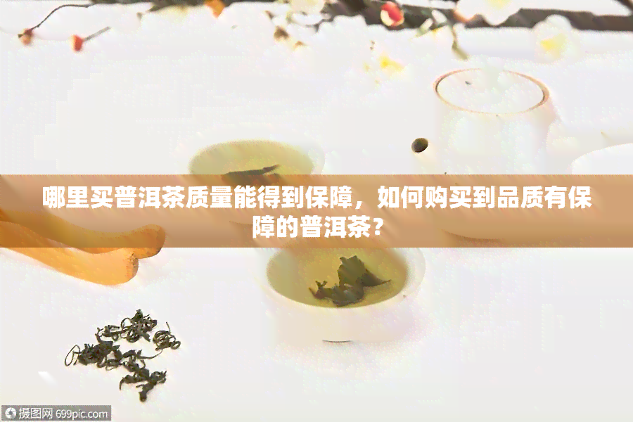 哪里买普洱茶质量能得到保障，如何购买到品质有保障的普洱茶？