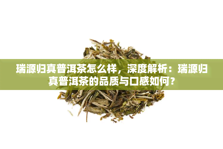 瑞源归真普洱茶怎么样，深度解析：瑞源归真普洱茶的品质与口感如何？