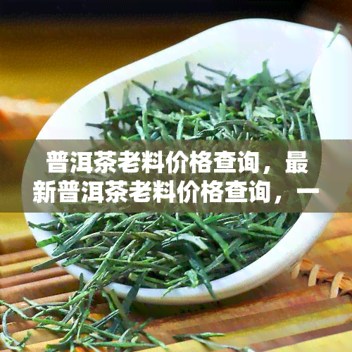 普洱茶老料价格查询，最新普洱茶老料价格查询，一网打尽全市场行情！