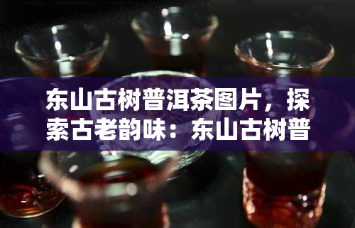 东山古树普洱茶图片，探索古老韵味：东山古树普洱茶的美丽图片