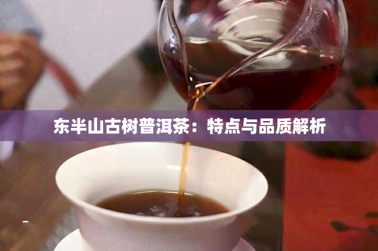 东半山古树普洱茶：特点与品质解析