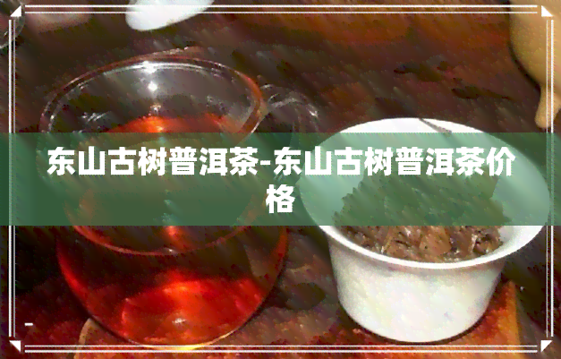 东山古树普洱茶-东山古树普洱茶价格