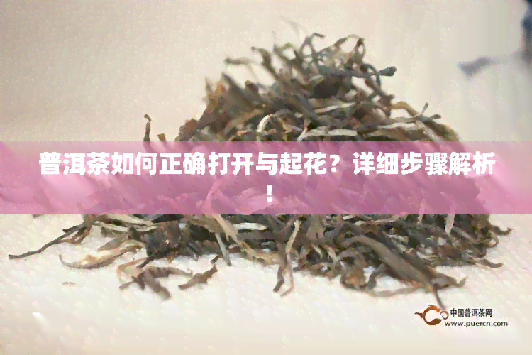 普洱茶如何正确打开与起花？详细步骤解析！