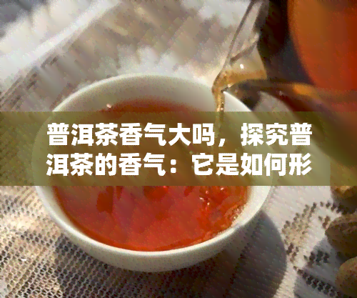 普洱茶香气大吗，探究普洱茶的香气：它是如何形成的？是否浓？