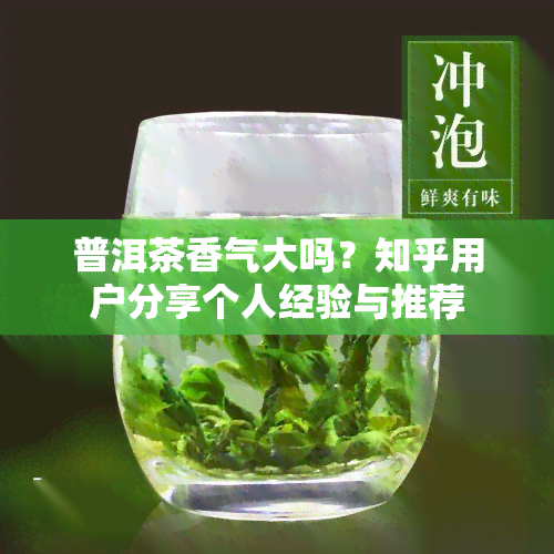 普洱茶香气大吗？知乎用户分享个人经验与推荐