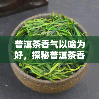 普洱茶香气以啥为好，探秘普洱茶香气：哪种香味？