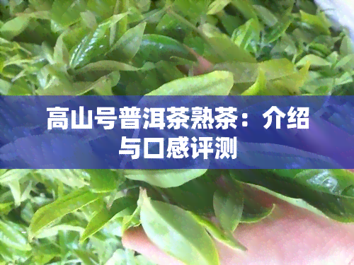 高山号普洱茶熟茶：介绍与口感评测